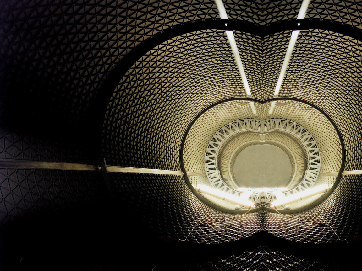 Черные тени