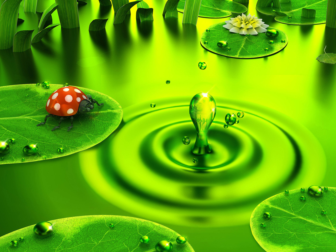 Зелень внизу