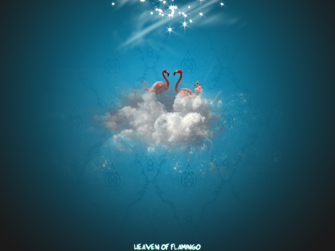 Рай фламинго