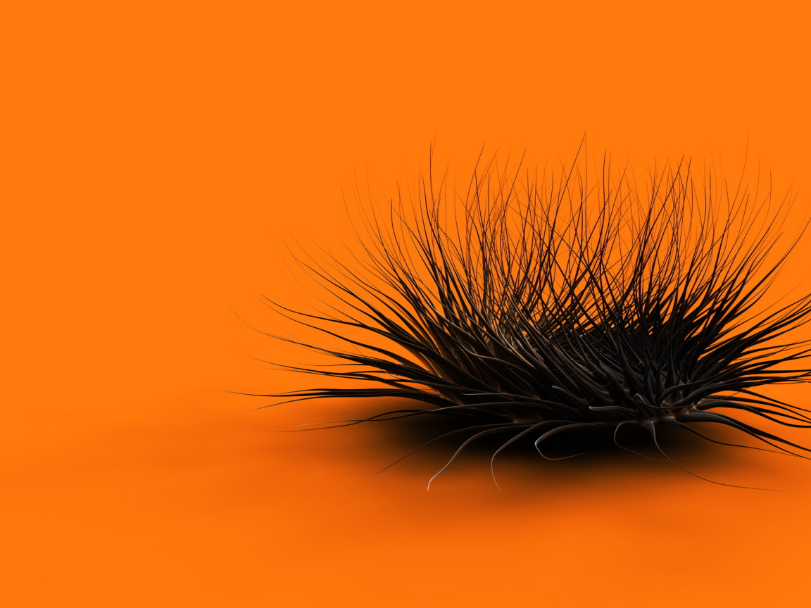 Оранжевый хаос