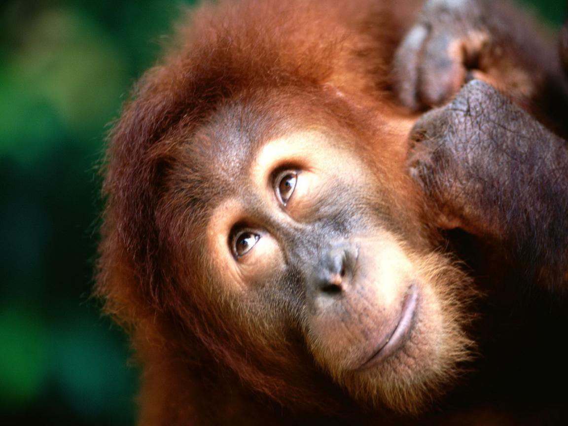 Взгляд вверх