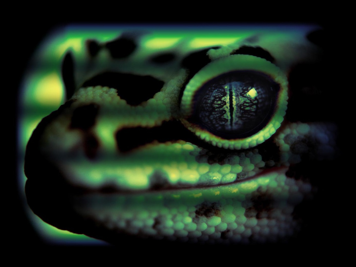 Змеиная голова