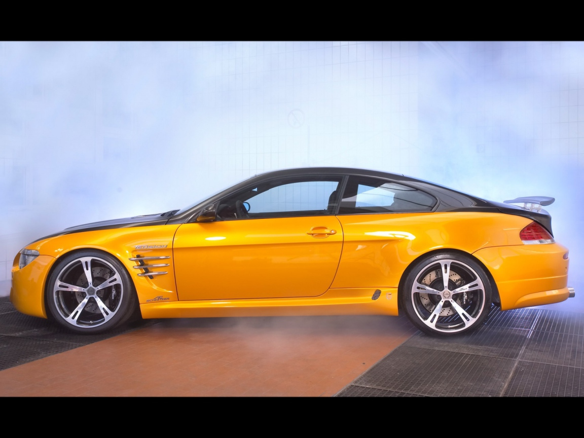 Schnitzer желто черный вид сбоку