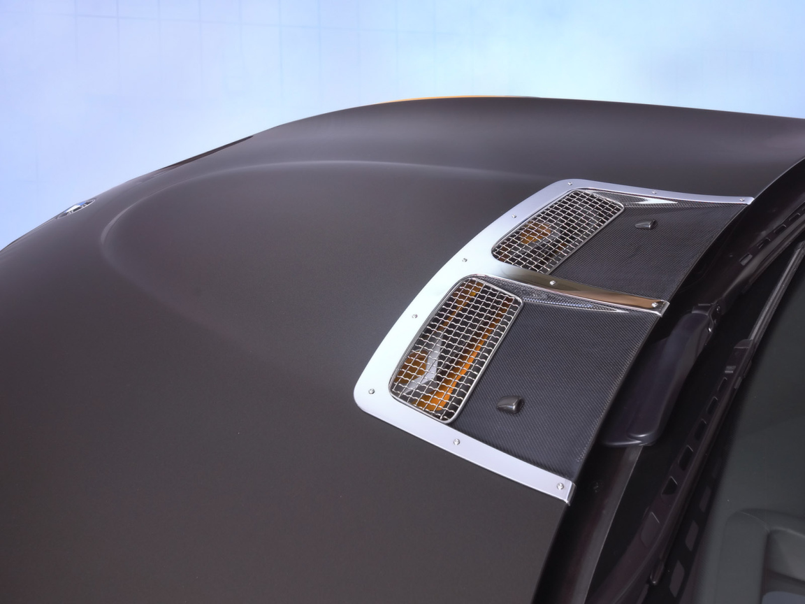 Капот Schnitzer