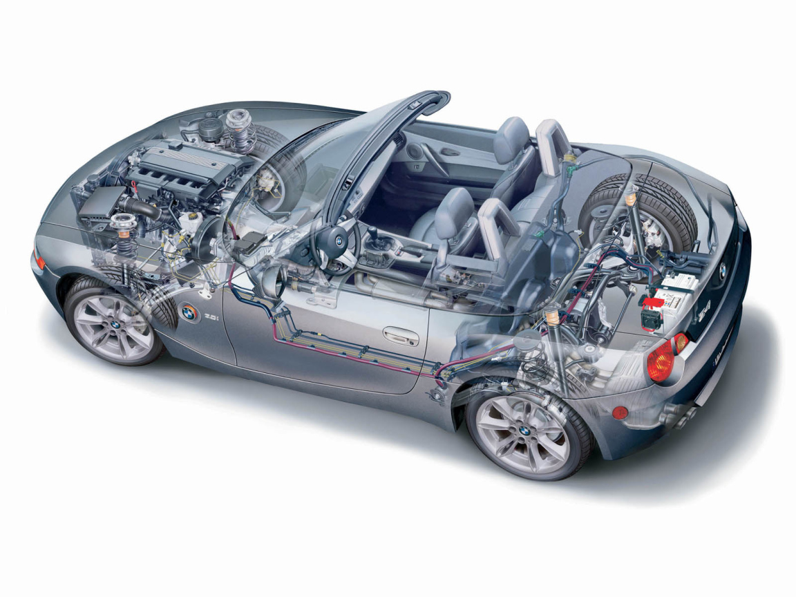 Z4 Organic рисунок