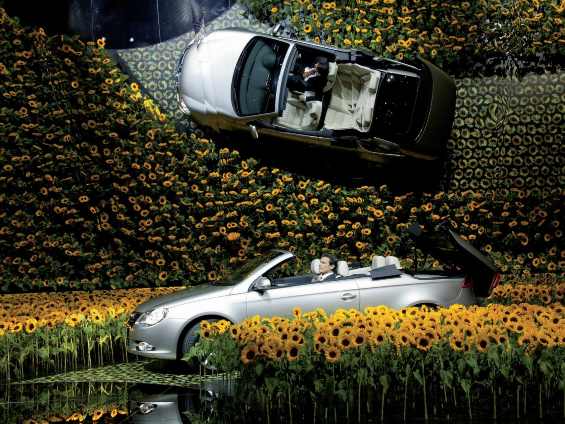 Volkswagen в цветах