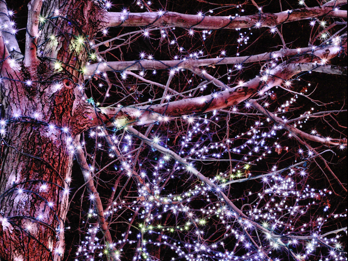 Гирлянды / Рождество