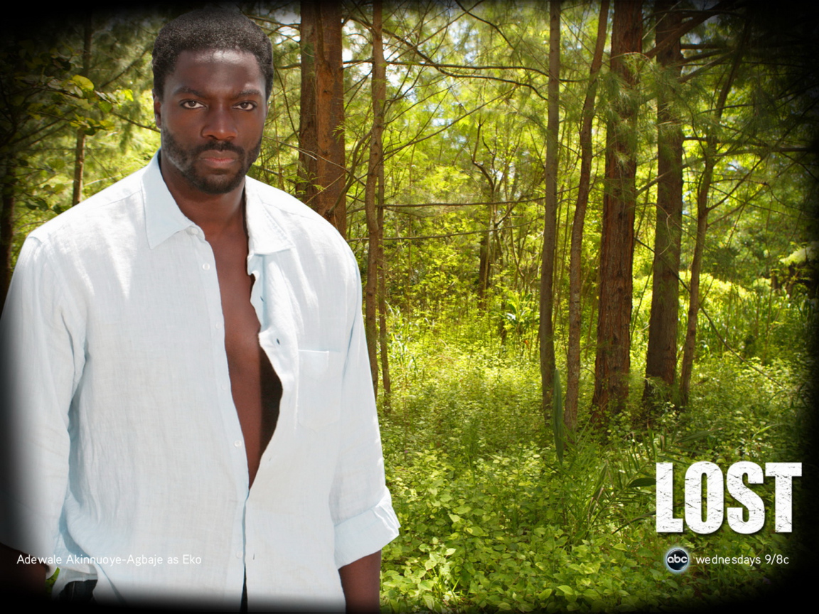 Остаться в живых / Сериал потерянные / LOST / Эко