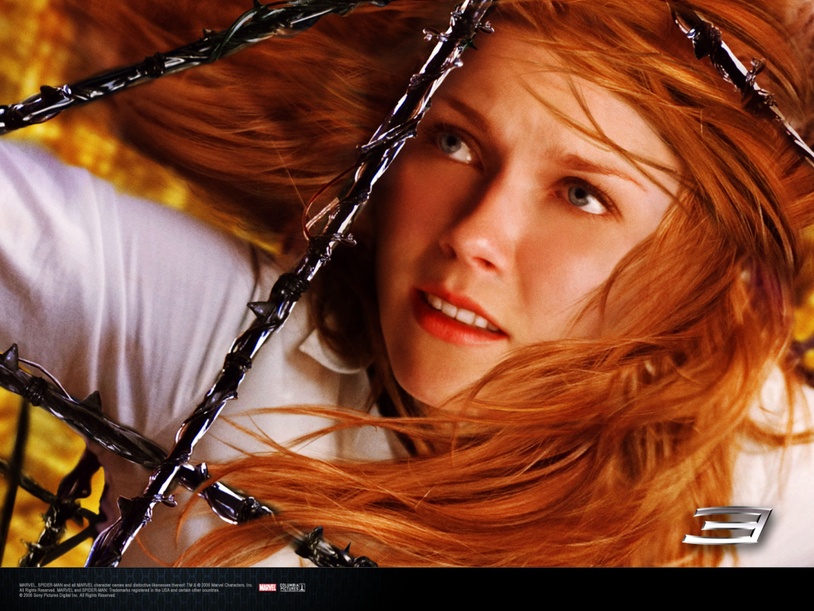 Человек-паук. Враг в отражении / Spider-Man 3