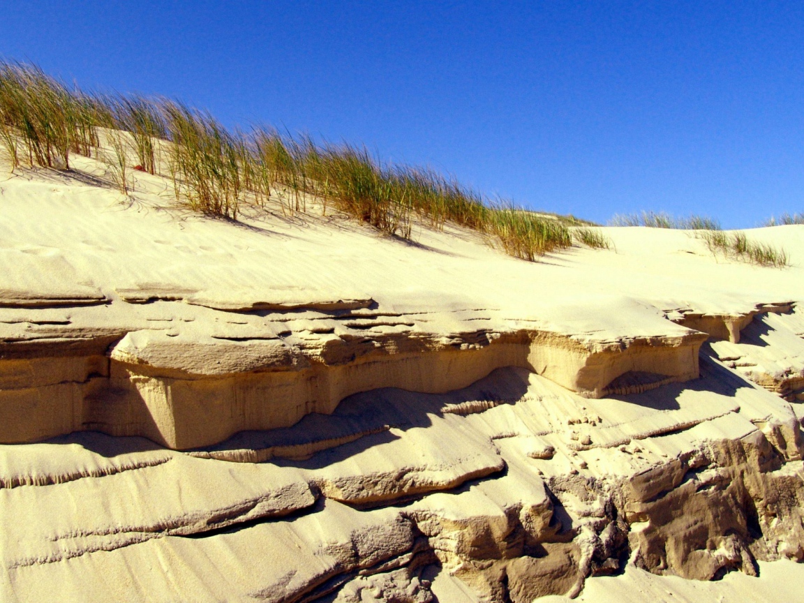 Береговые дюны