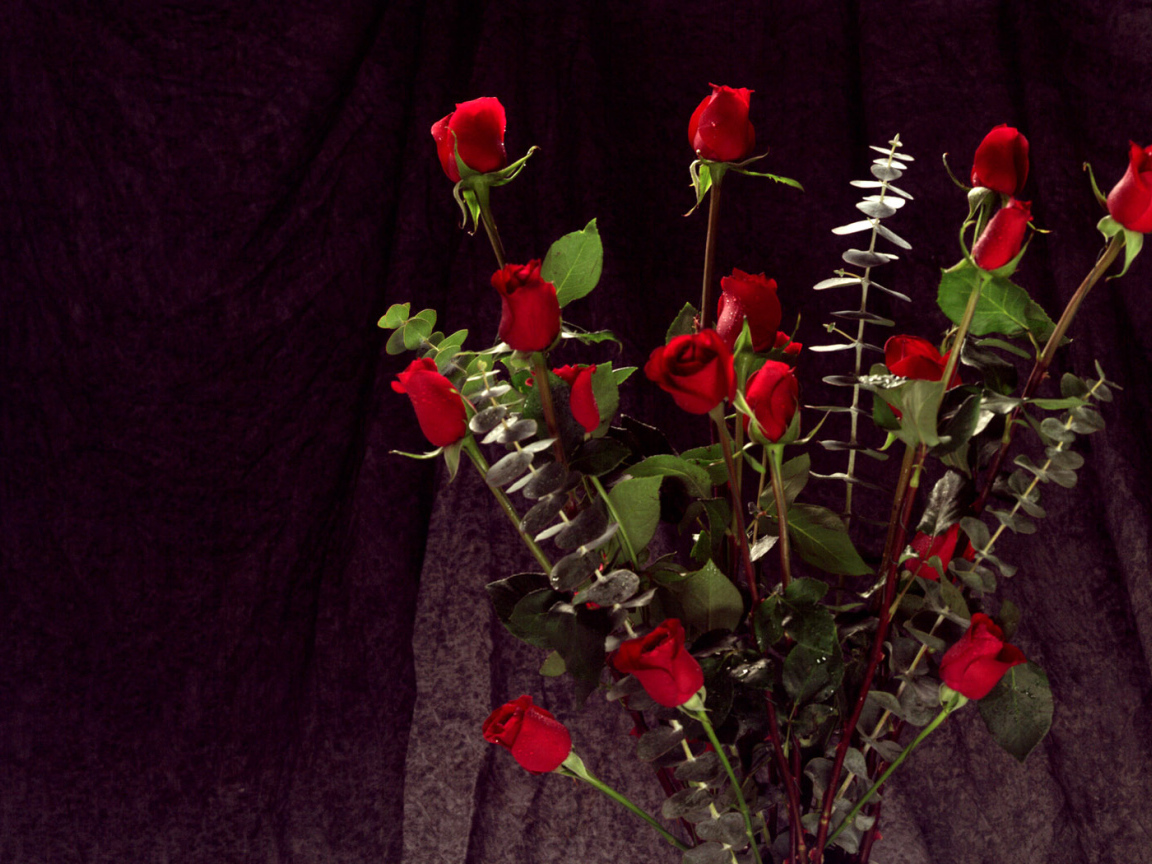 Связка красных роз, Цветов