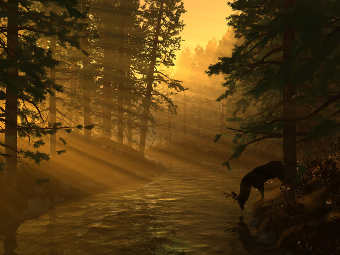 Лесная река