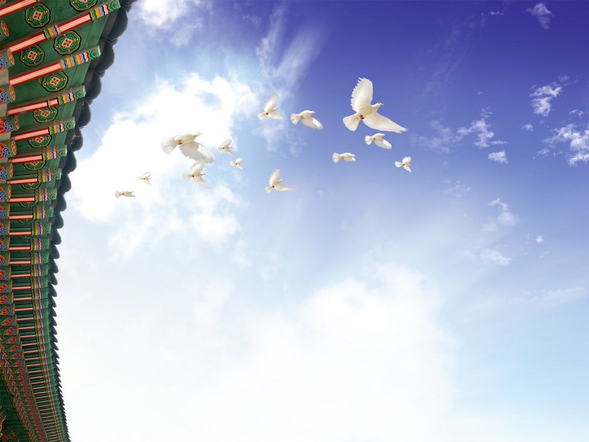 Летящие голуби