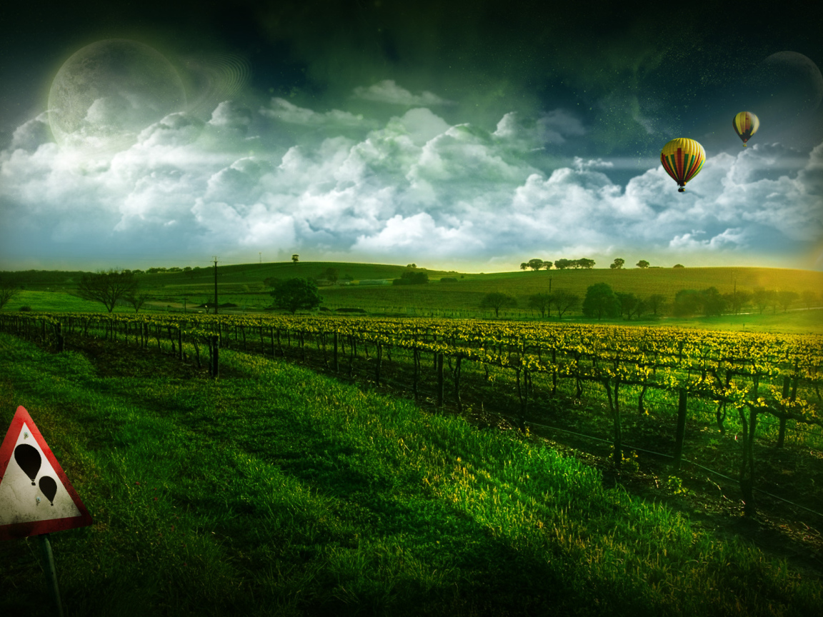 Виноградник