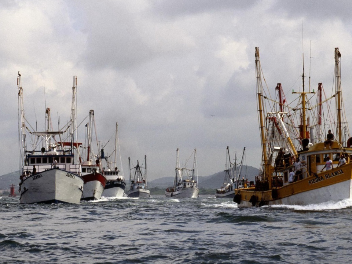 Суда в гавани