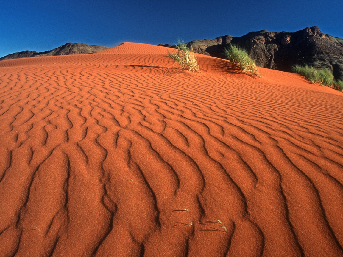 Следы на Дюне / Заповедник Рэнда Namib / Намибия / Африка