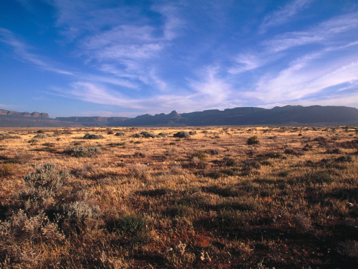 Karoo - Кару / Африка