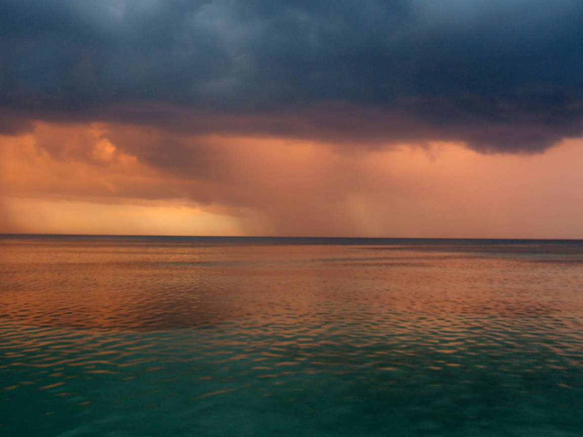 Ямайский дождь