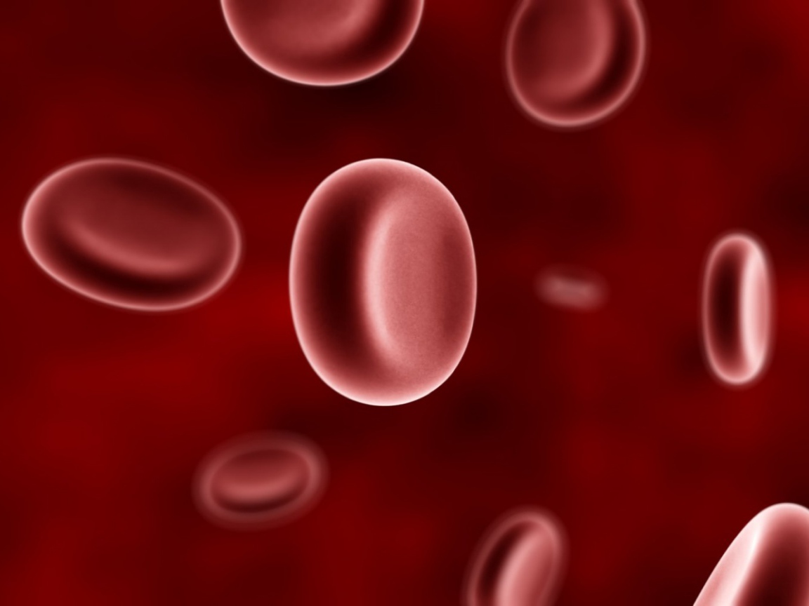 Эритроциты