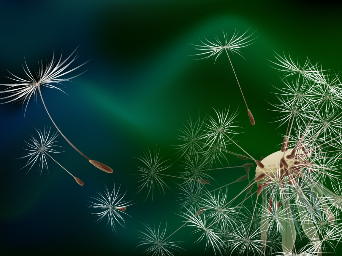 Семена одуванчика