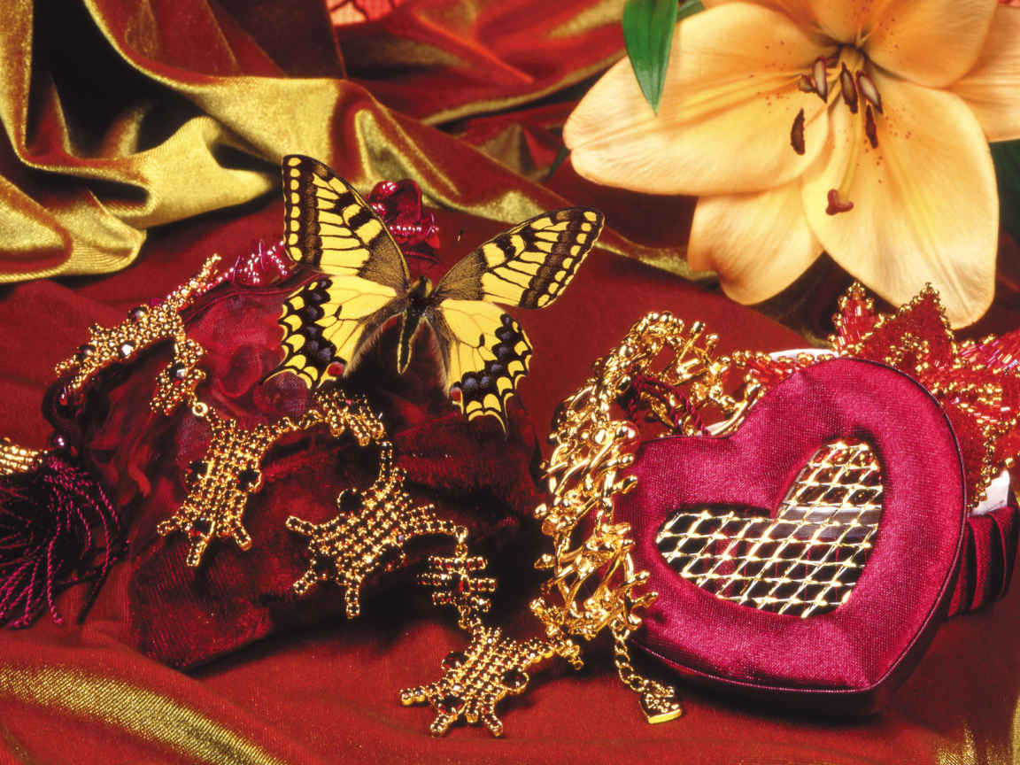 Бабочка и бархат