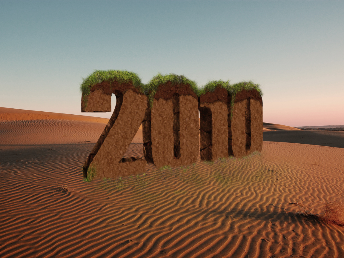 Новый год 2010 пустыня