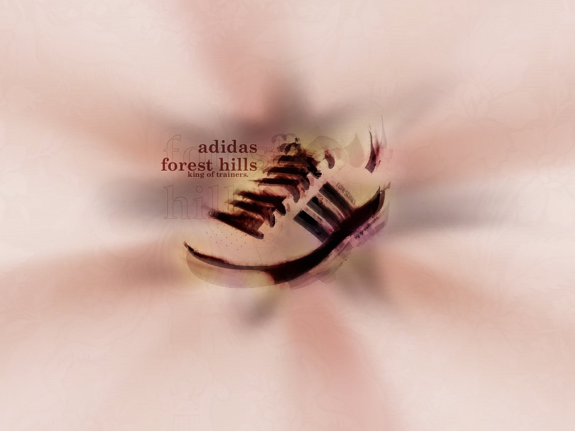 Adidas forest hills