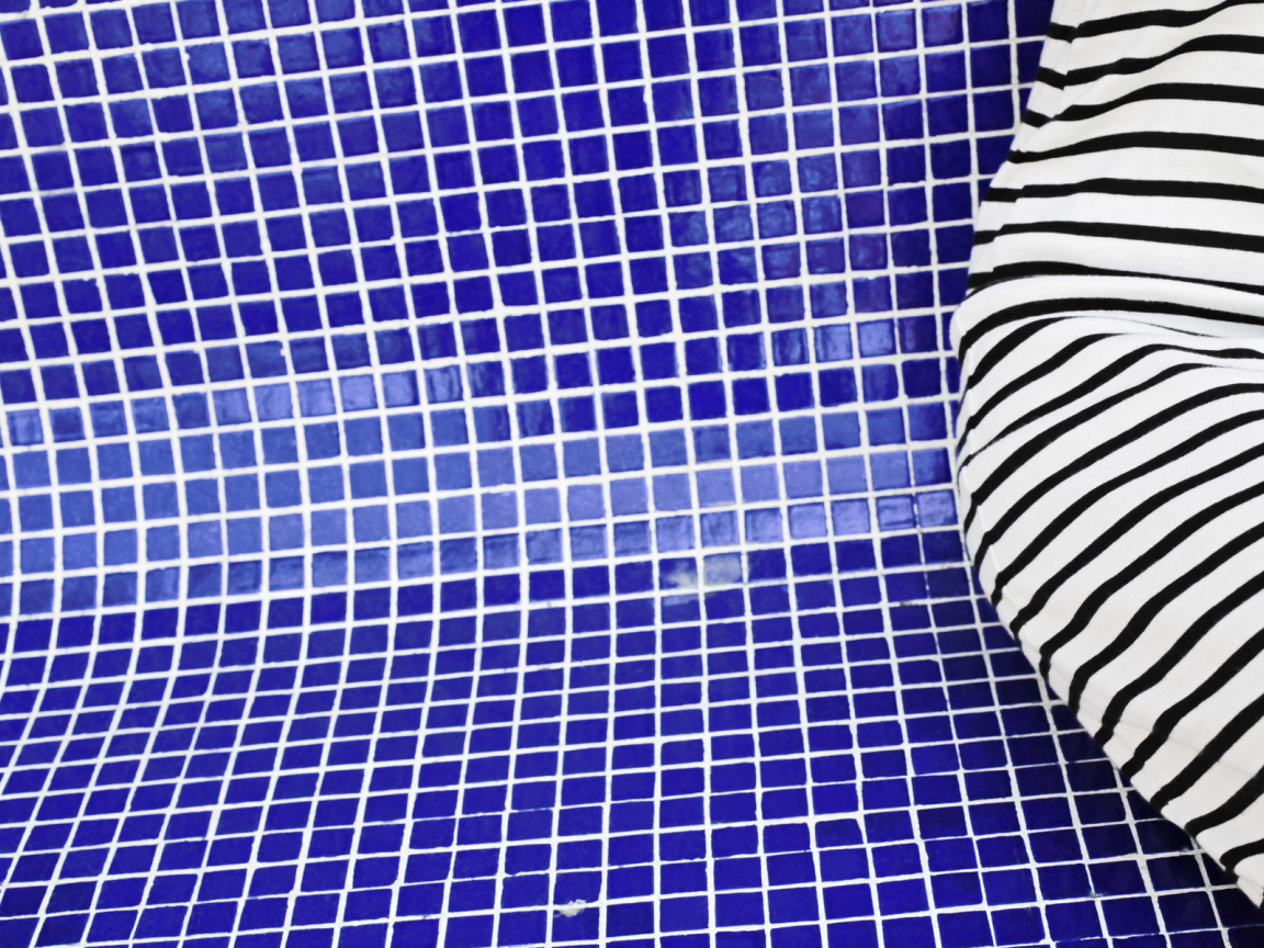 Зебра в бассейне