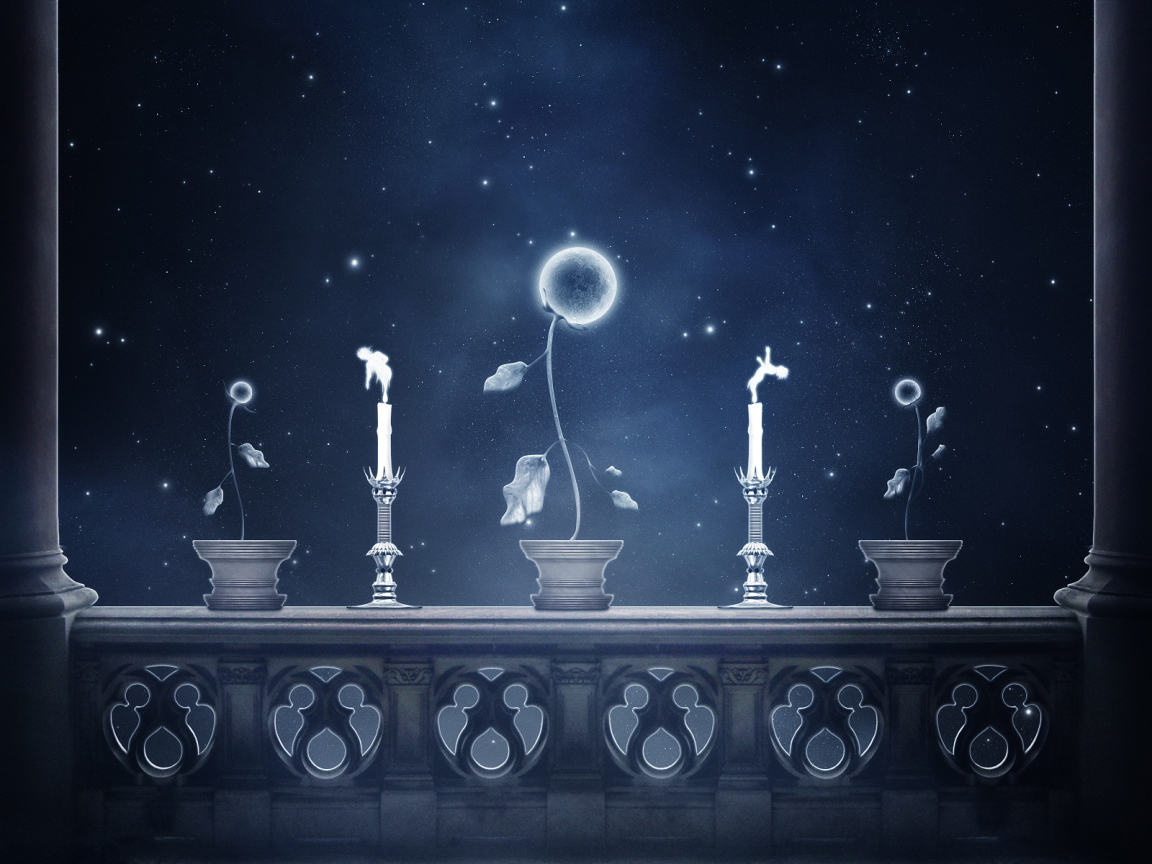 Небесные цветы