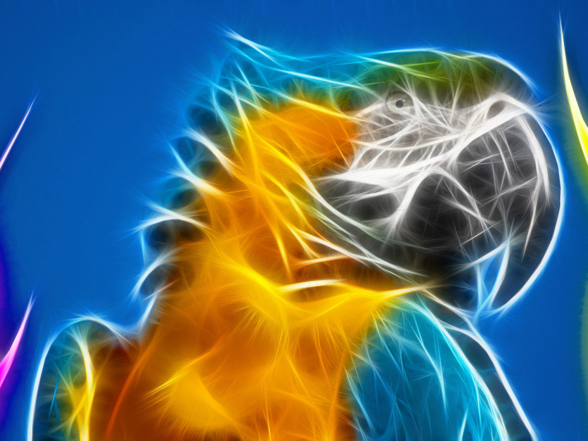 Разноцветный попугай