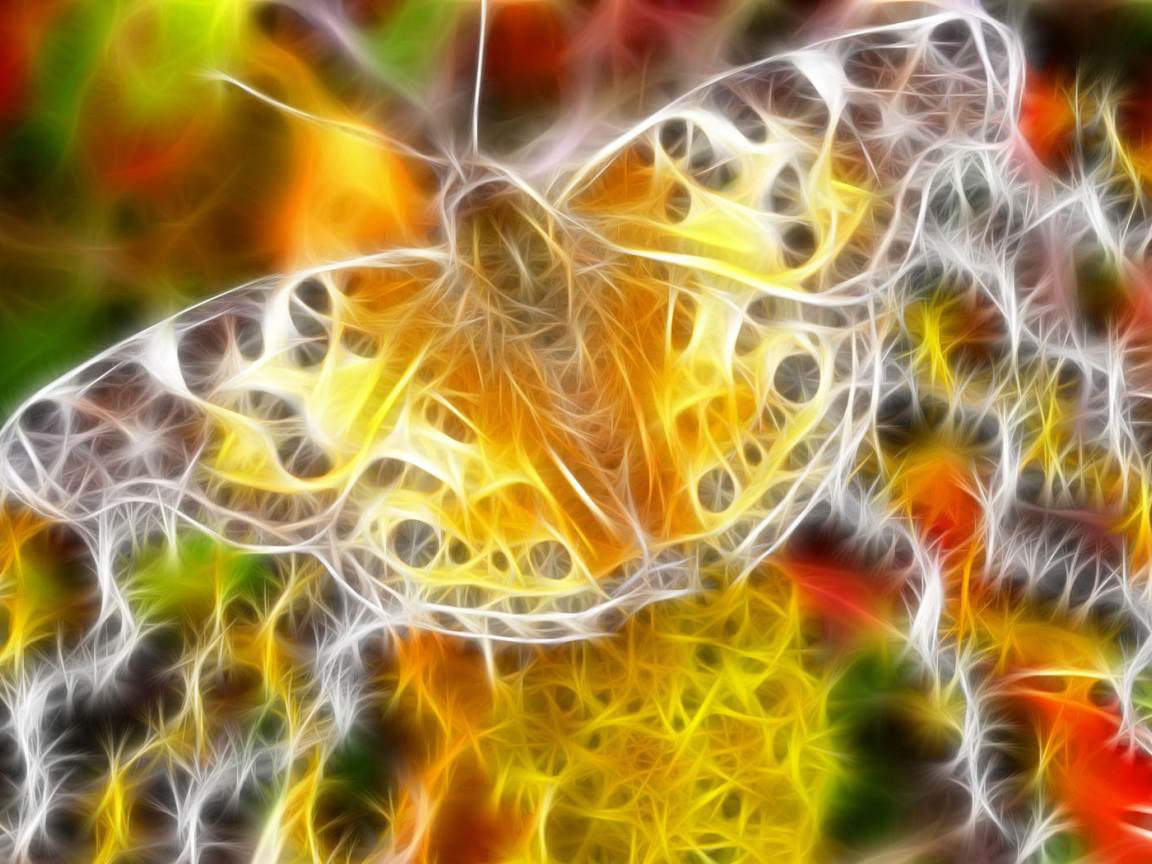 Сказочная бабочка