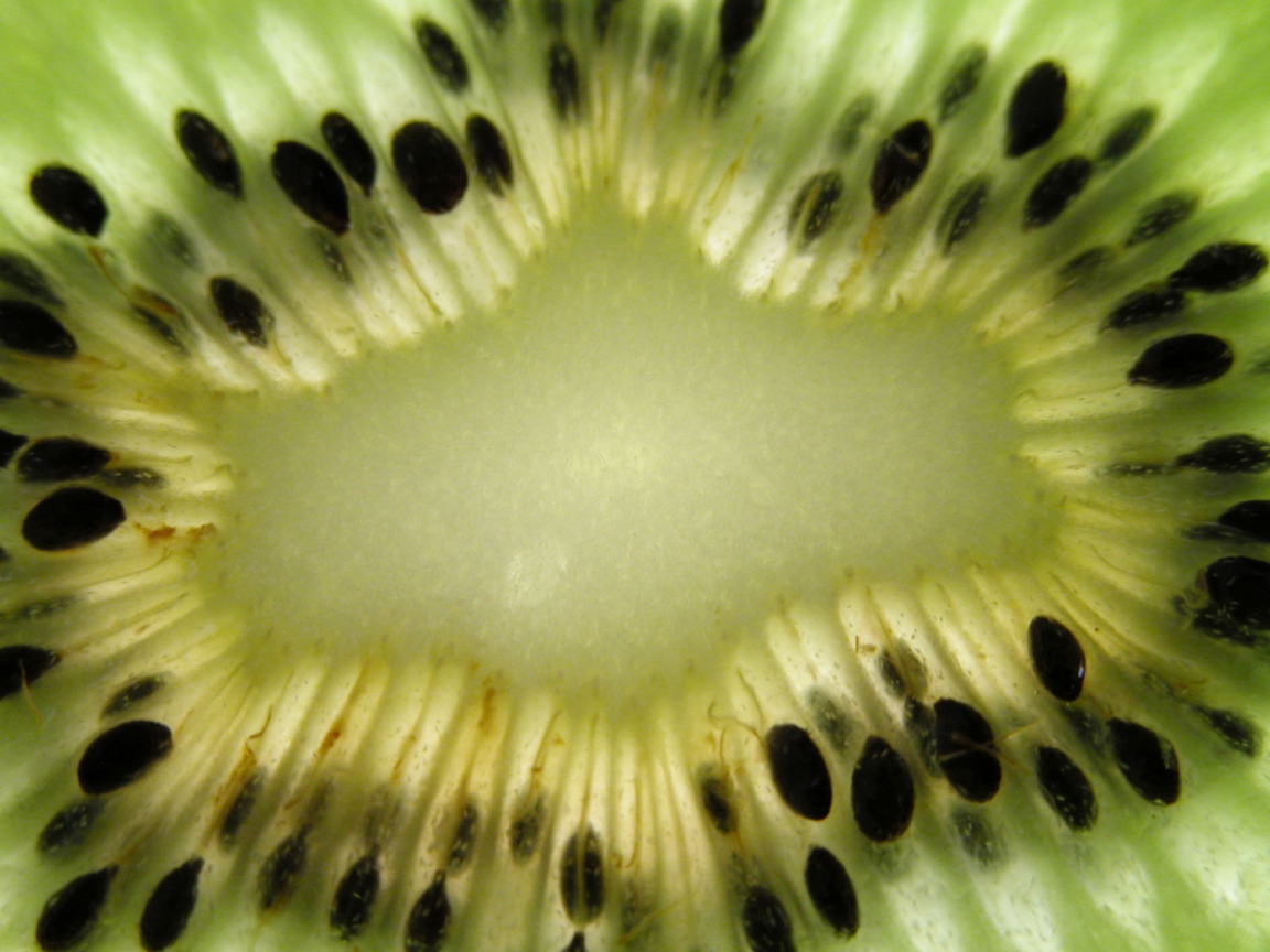 Мякоть киви