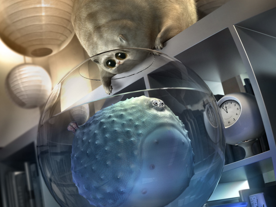 Надувательство