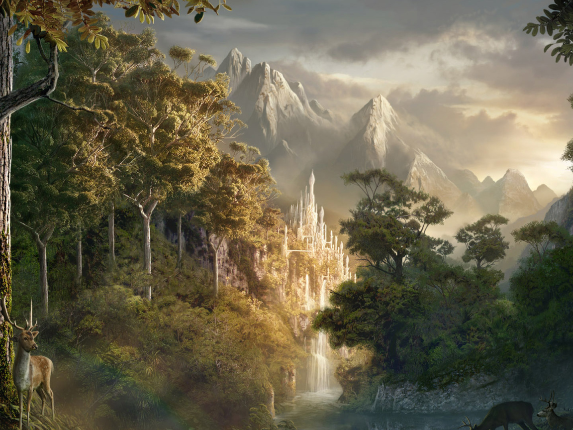 Магический лес