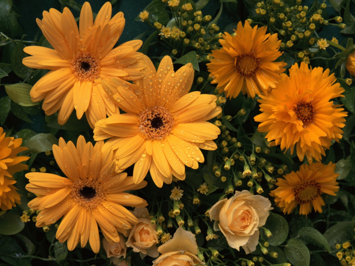 Цветы любимой женщине