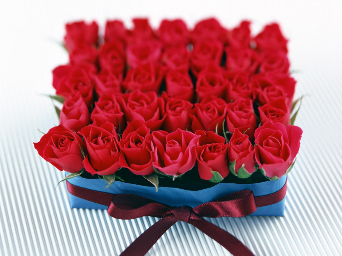 Roses as a gift on March 8
