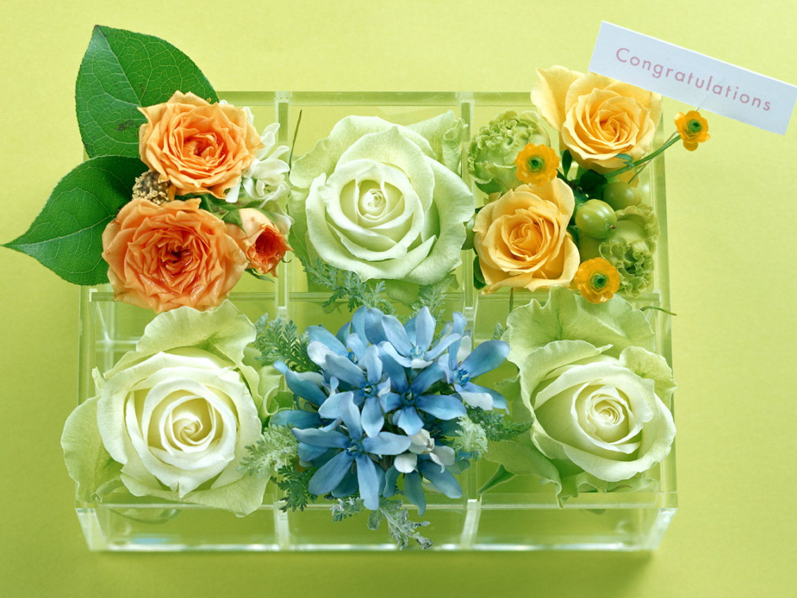 Подарок девушке в День Св. Валентина