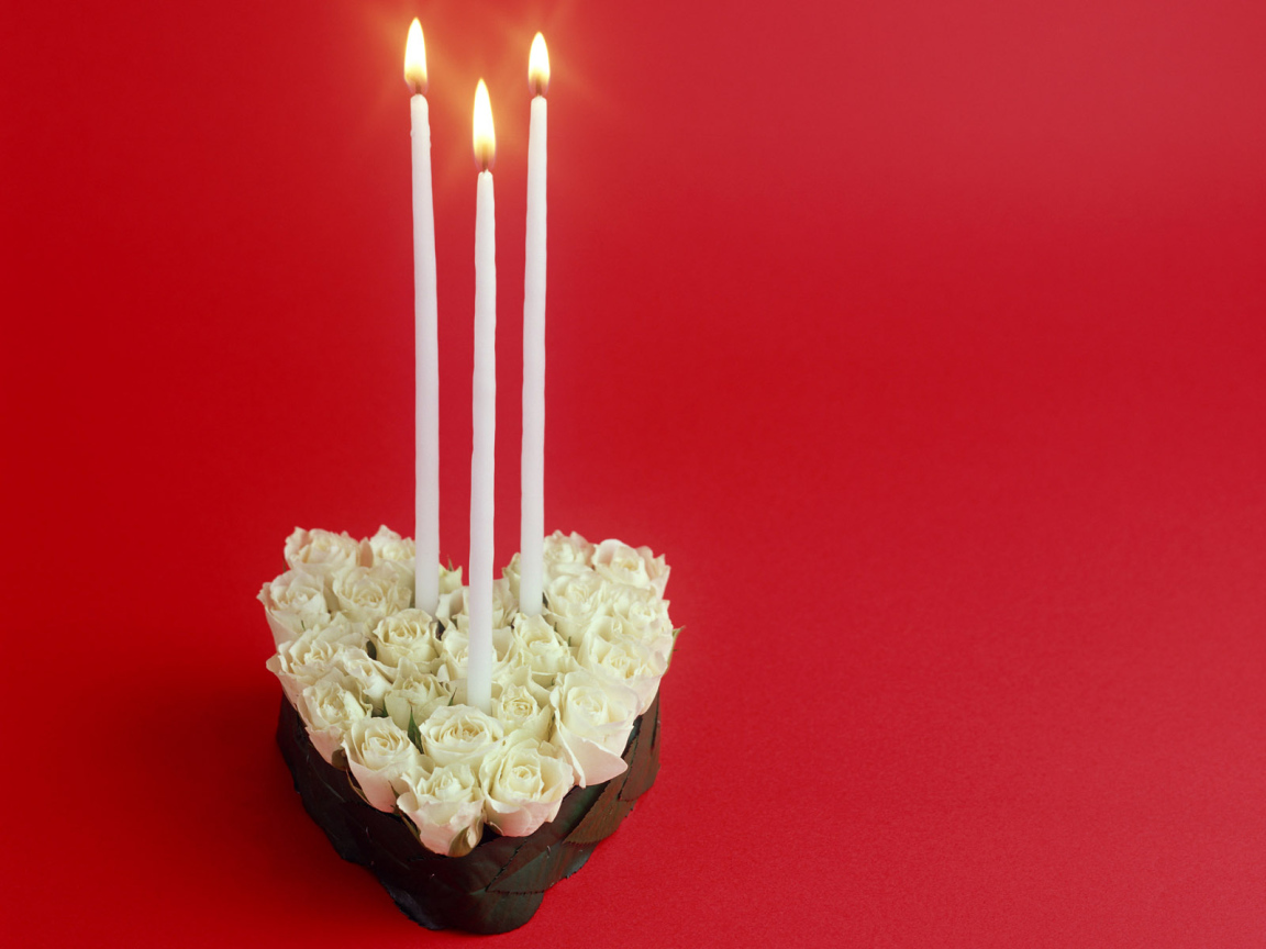 Белые розы в День Святого Валентина