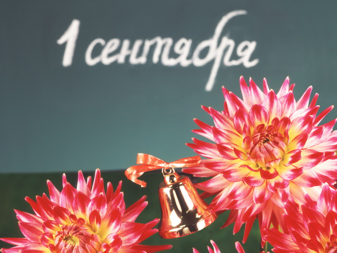 День знаний