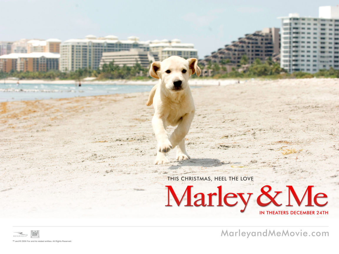 Марли и я / Marley & Me рождественская комедия