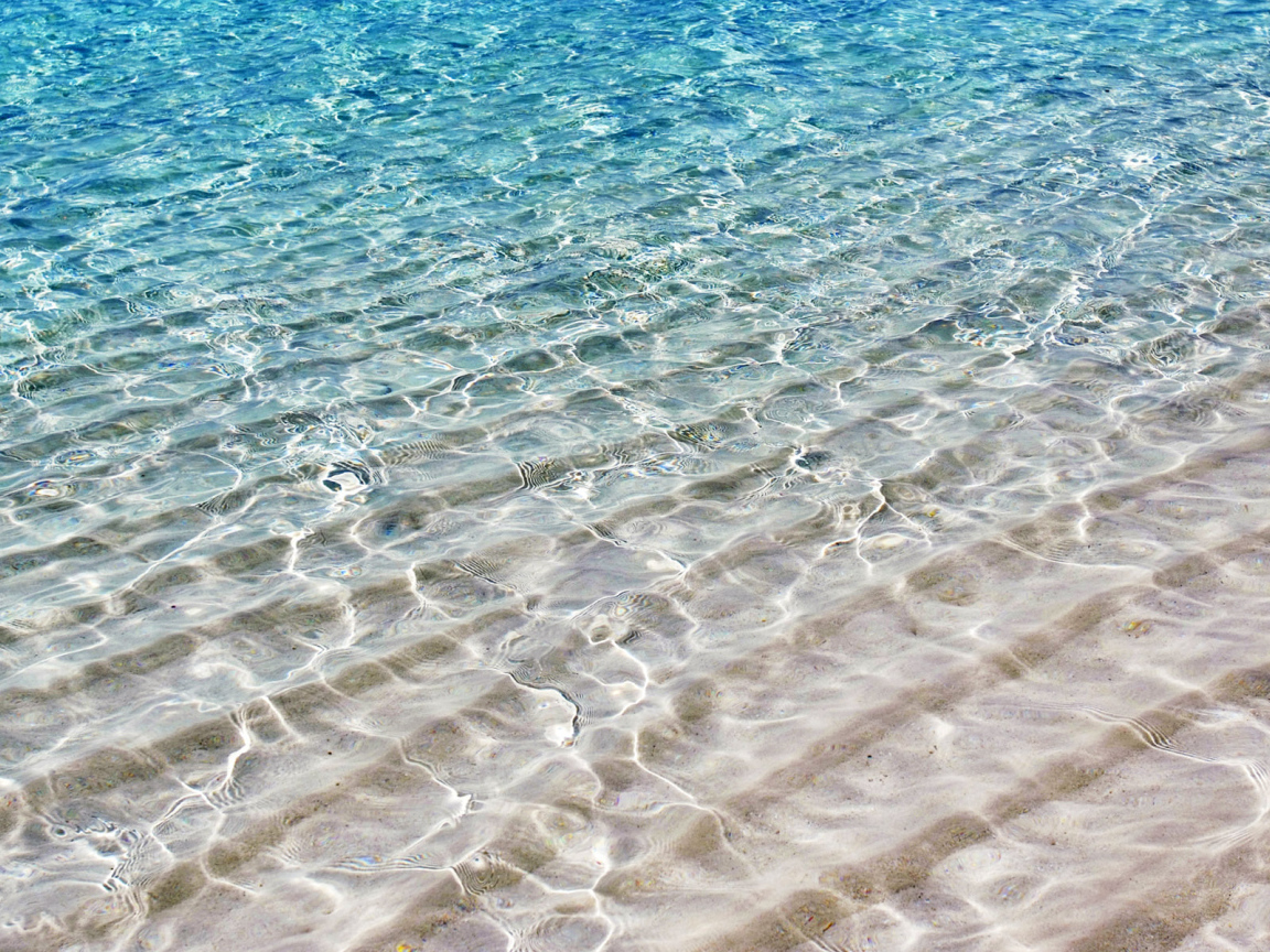 На берегу моря