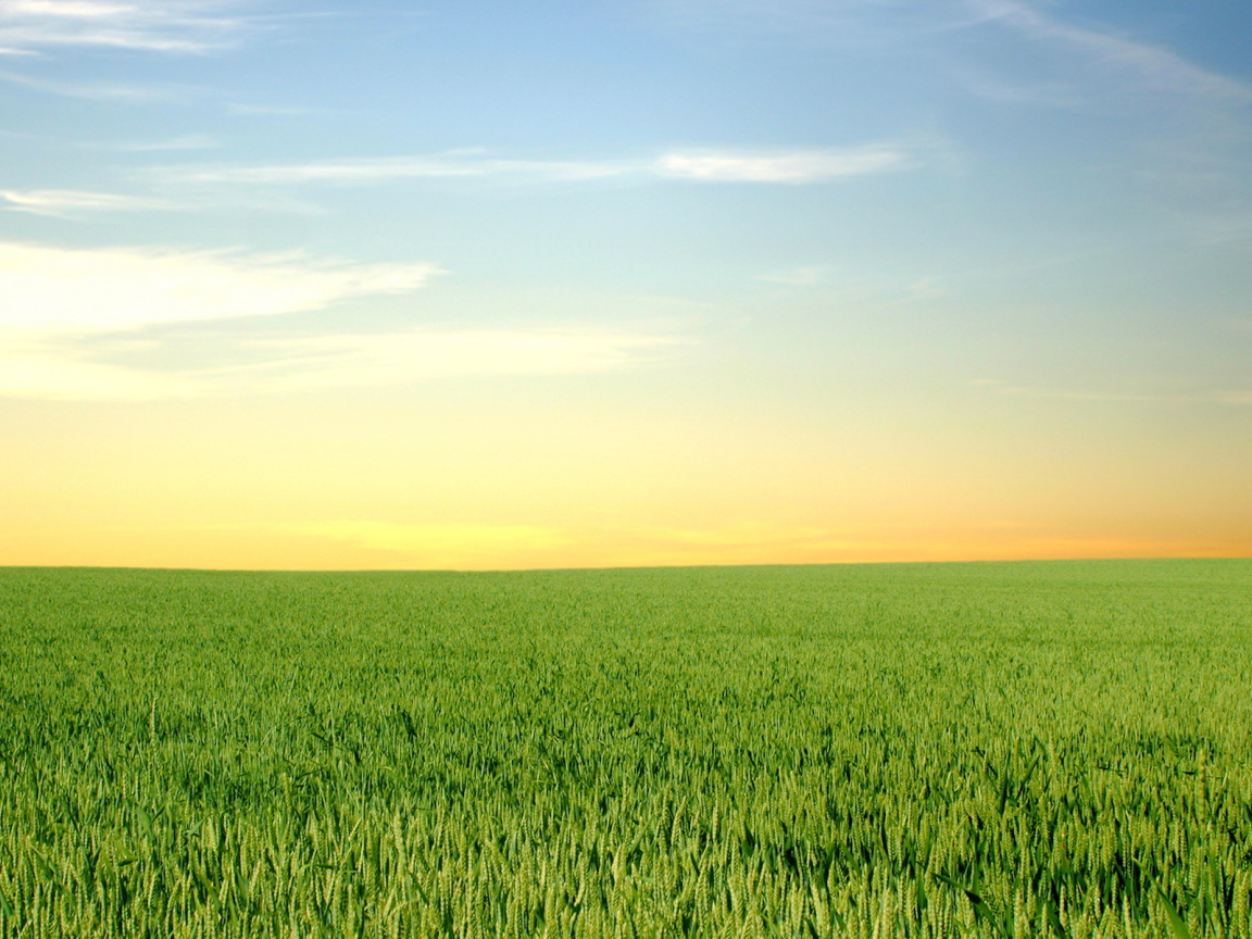 Зеленый горизонт