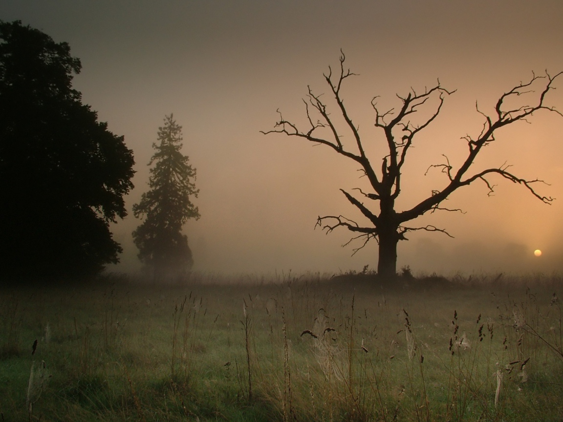 Сумрачный туман