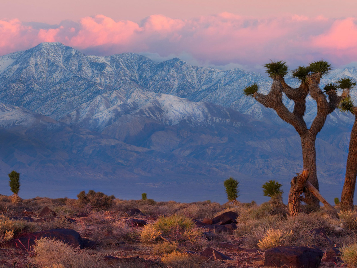 Горная гряда