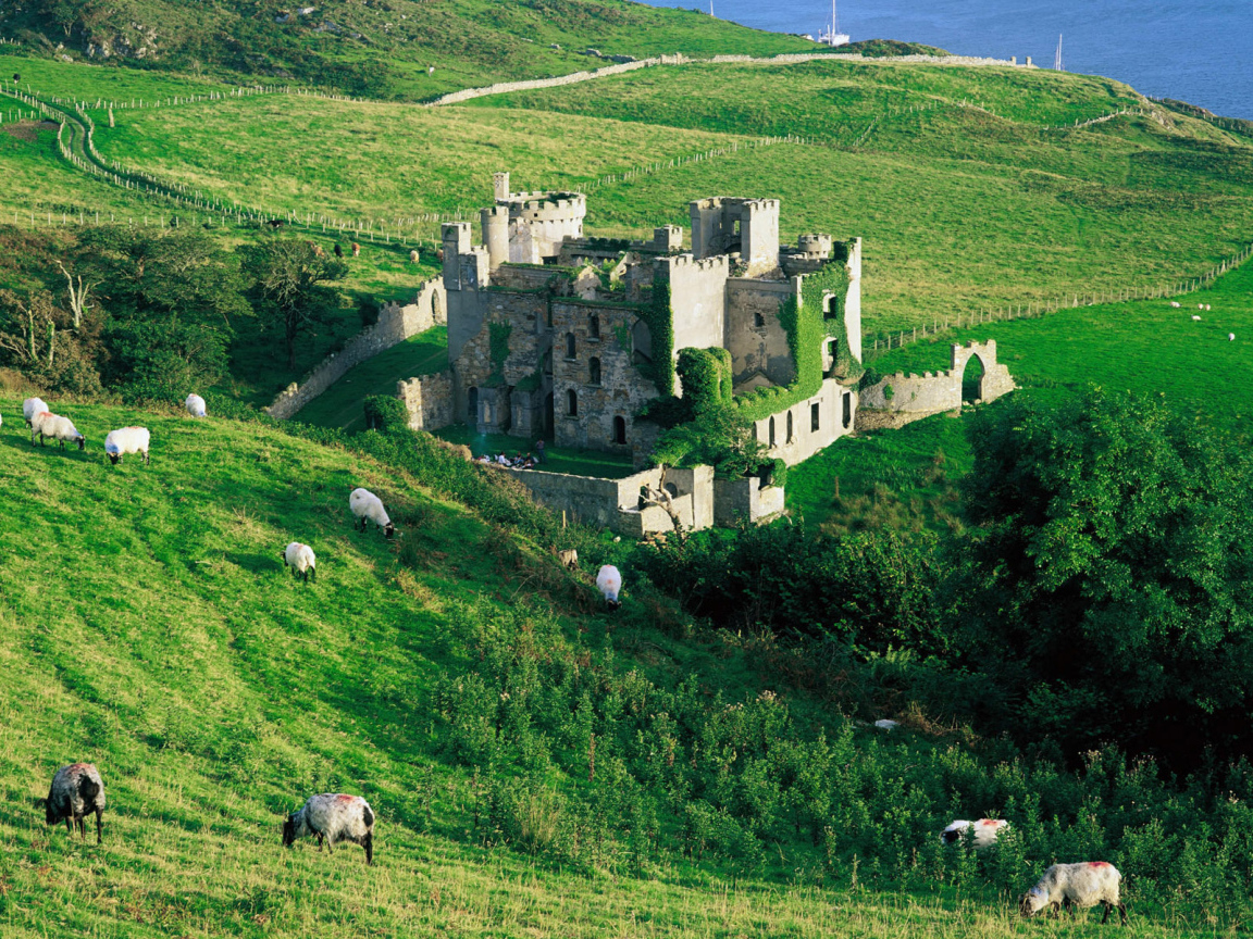 Зеленые холмы