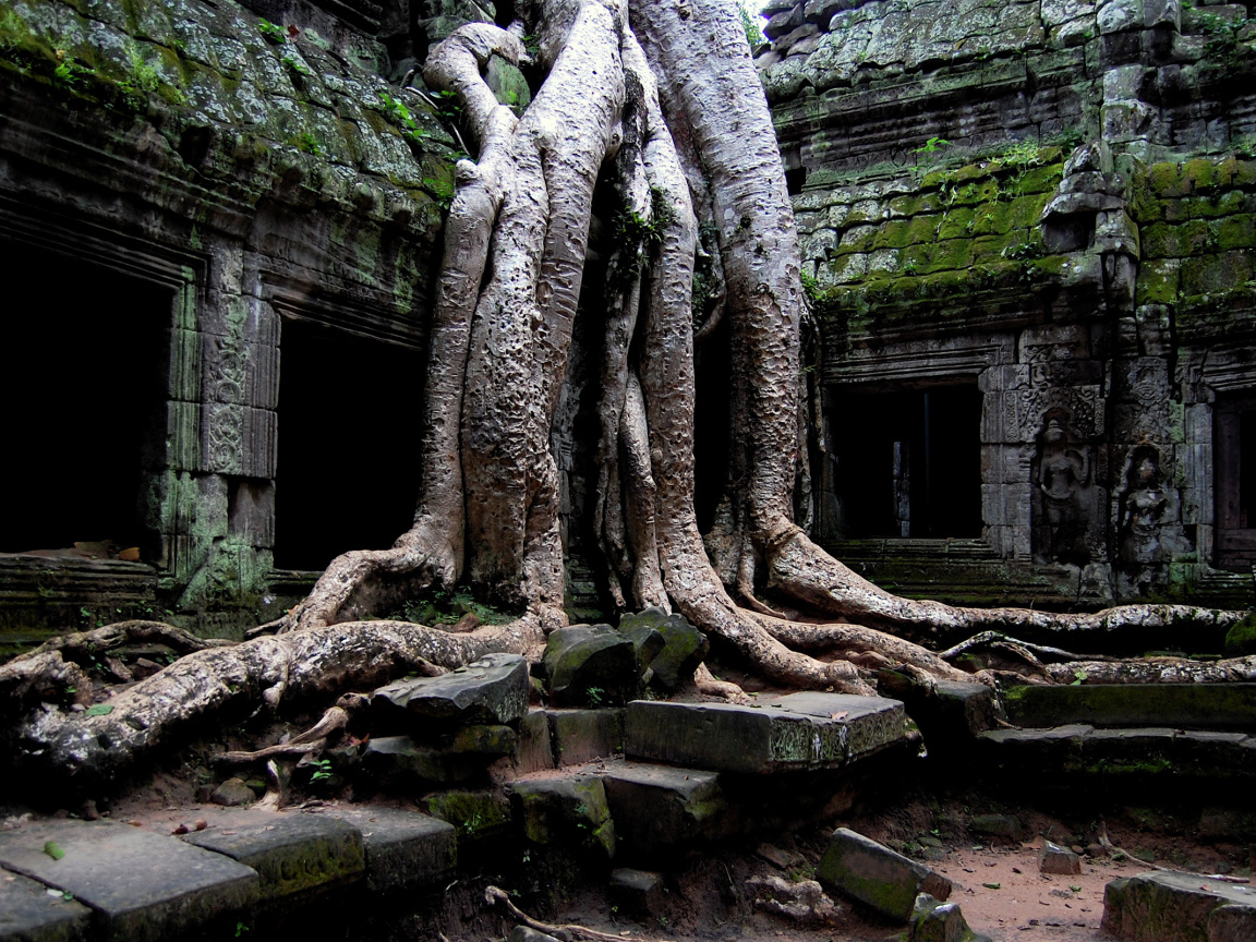 Храм в джунглях