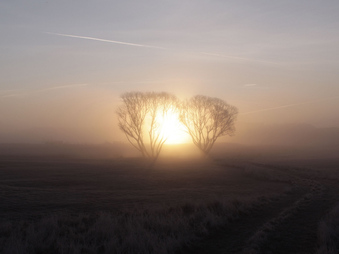 Морозное утро