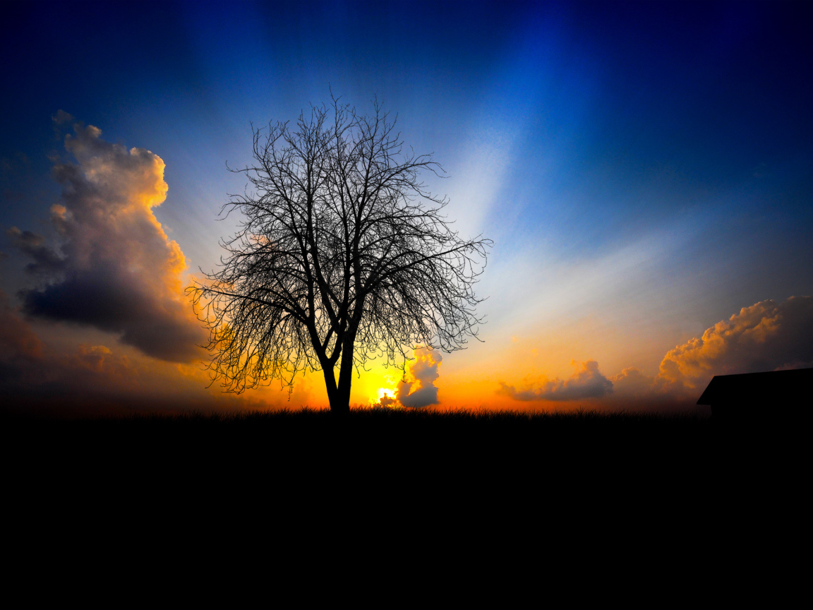 На закате дня