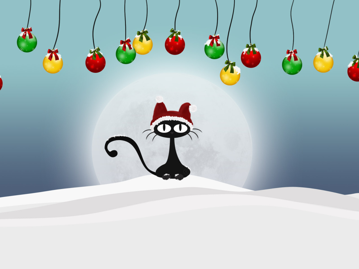 Кот на снегу