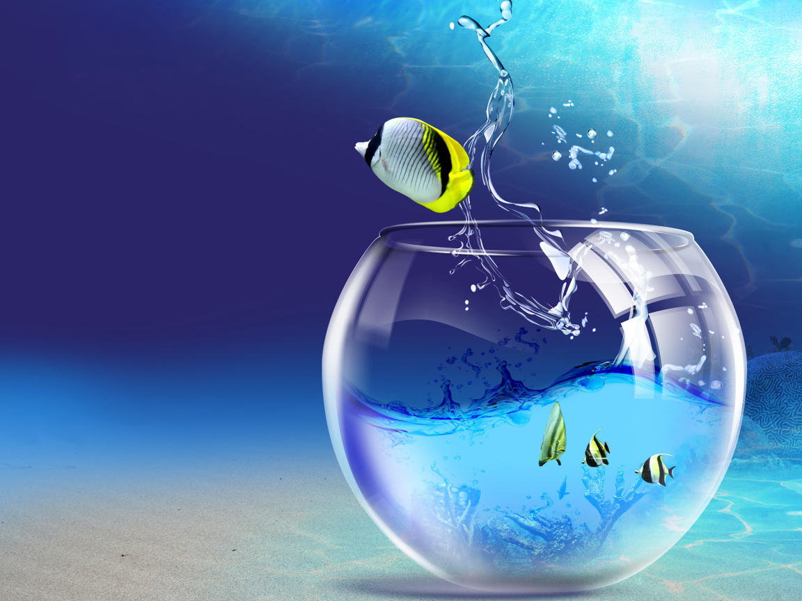 Прощание с аквариумом